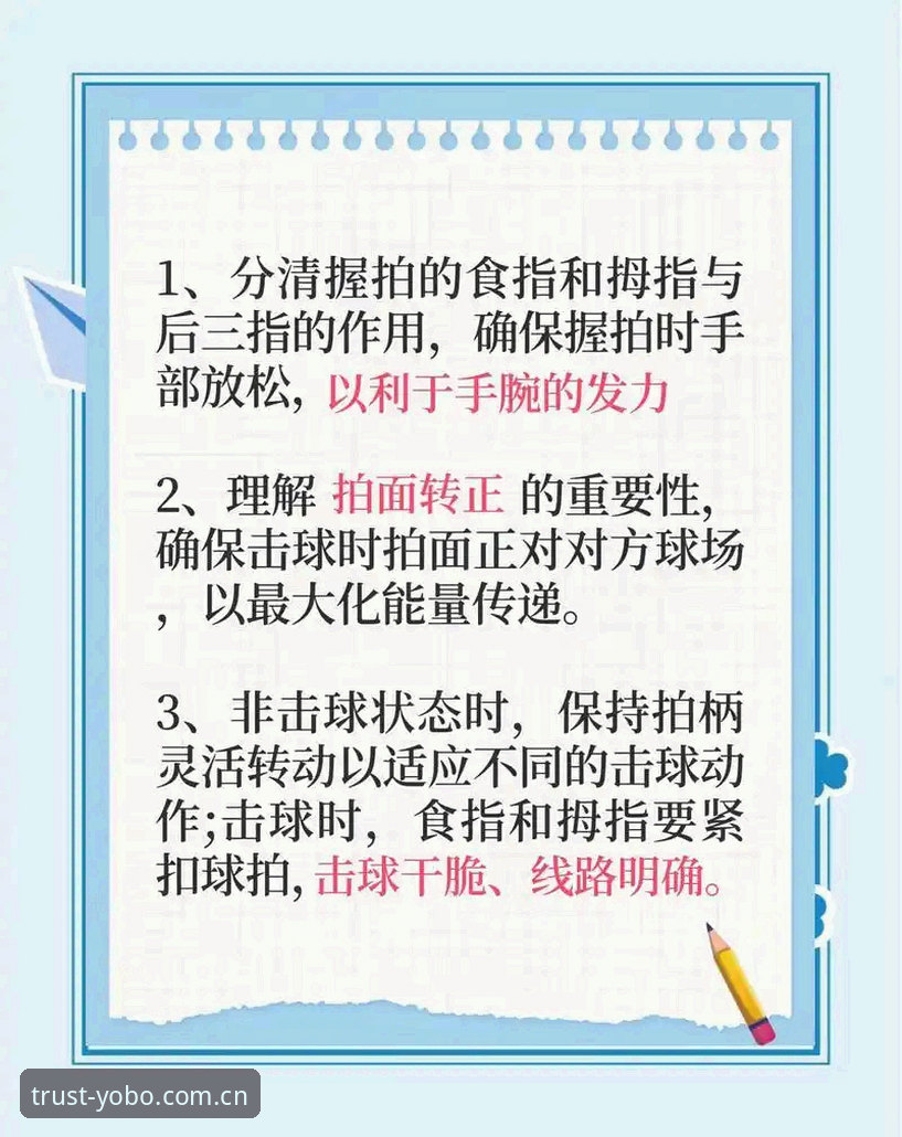 YOBO体育平台攻略：从入门到精通的完整操作指南